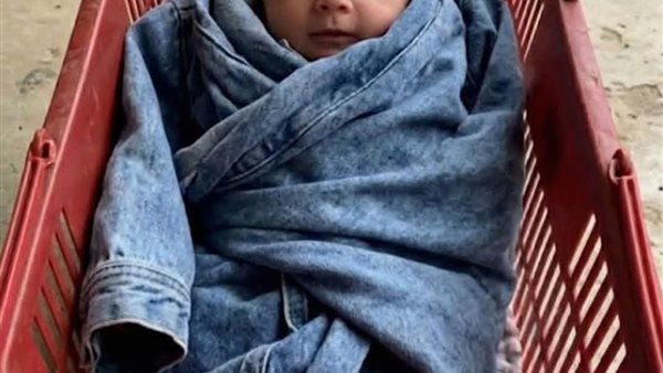 لمحة نيوز