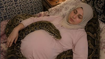 امرأة حامل بجوار أفعاها الأليفة الضخمة كل ليلة