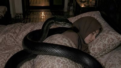 اصبح الحنش غريبا